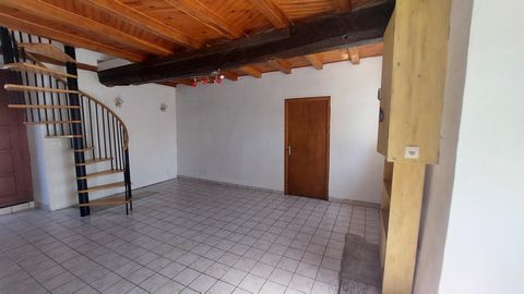 photo no. 11