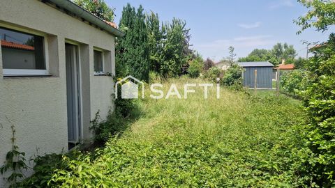 photo no. 14