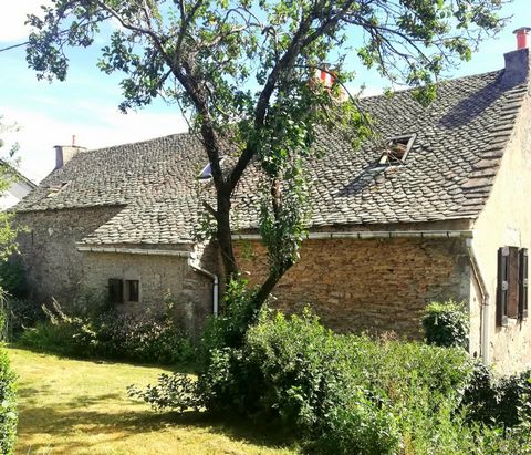 photo no. 23