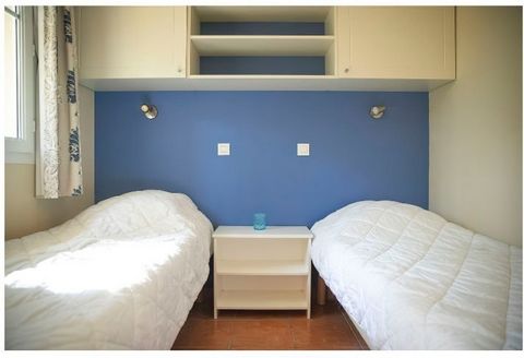 photo no. 11