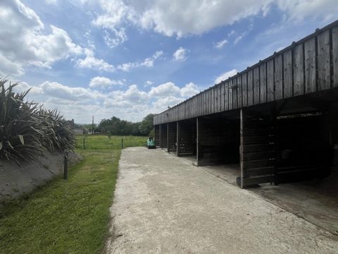 photo no. 10