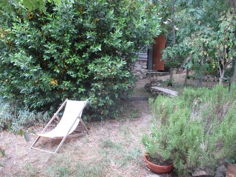 photo no. 15