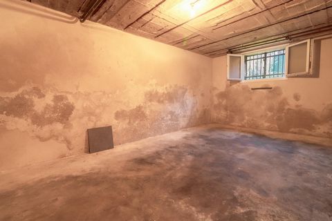 photo no. 13