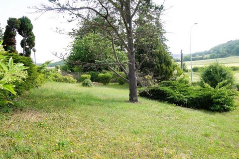 photo no. 8