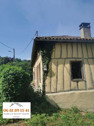 photo no. 15