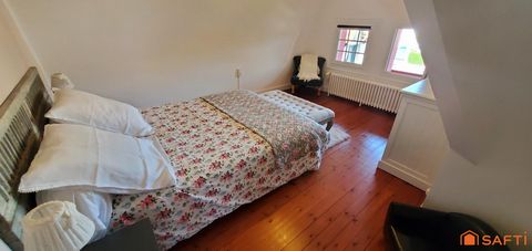 photo no. 11