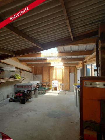 photo no. 4