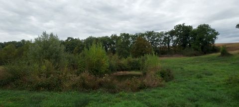 photo no. 1