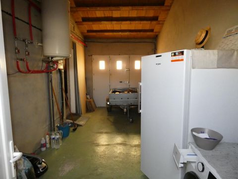 photo no. 8