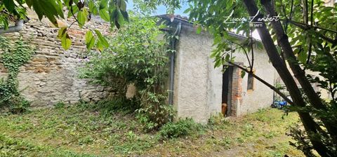 photo no. 14