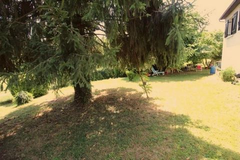 photo no. 11