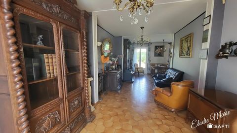 photo no. 10
