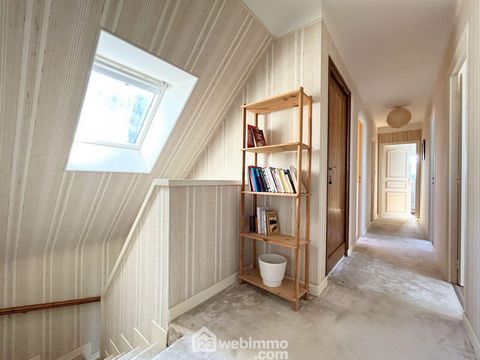 photo no. 11