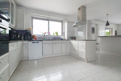 photo no. 5