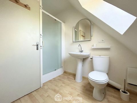 photo no. 19