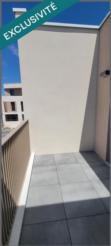 photo no. 7