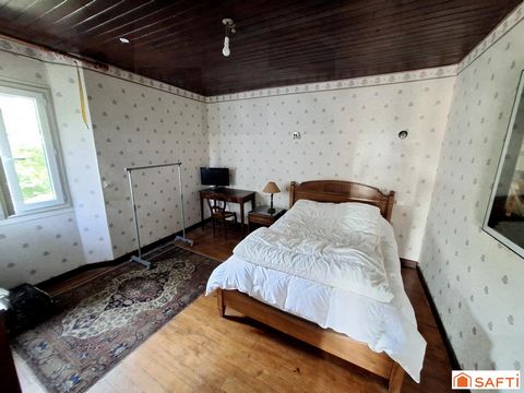 photo no. 11