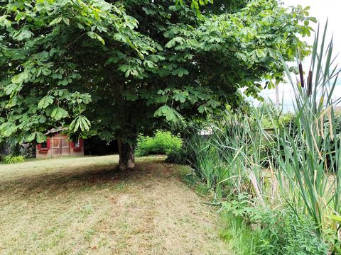 photo no. 10