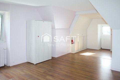 photo no. 12