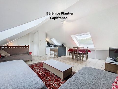Charmant T1 Duplex Lumineux à Fillinges