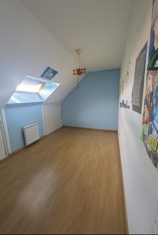 photo no. 5