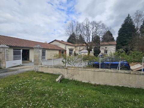 photo no. 5