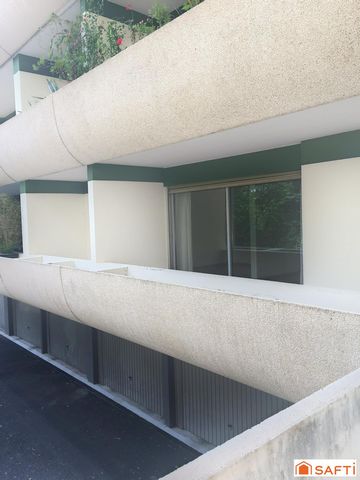 photo no. 8