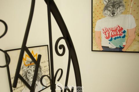 photo no. 8