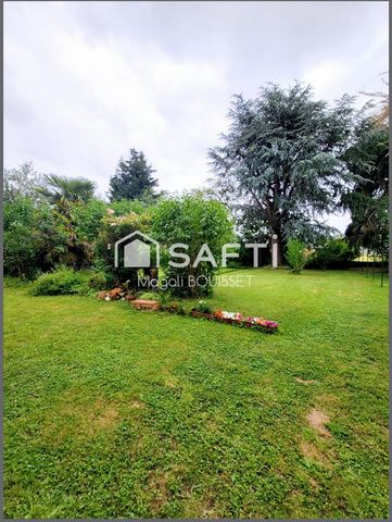 photo no. 16