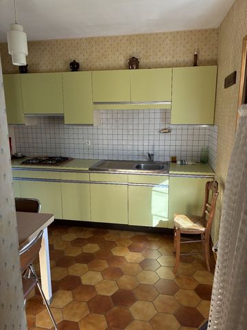 photo no. 6
