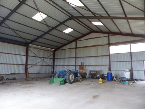 photo no. 2