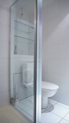 photo no. 11