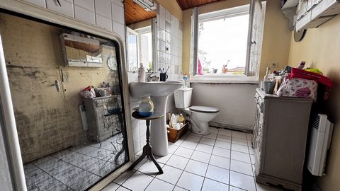 photo no. 13