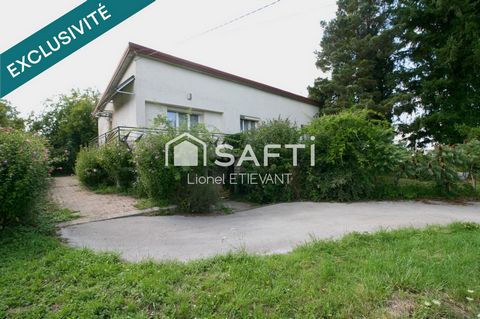 Maison sur grand terrain