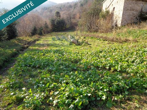photo no. 14