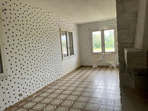 photo no. 10