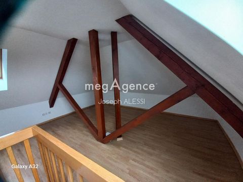 photo no. 6