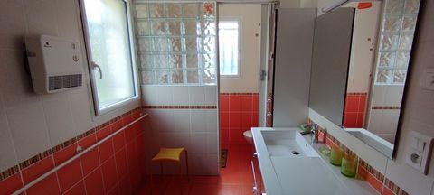 photo no. 8