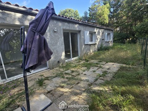 photo no. 10