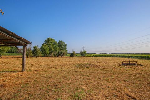 photo no. 15
