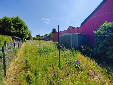 photo no. 12