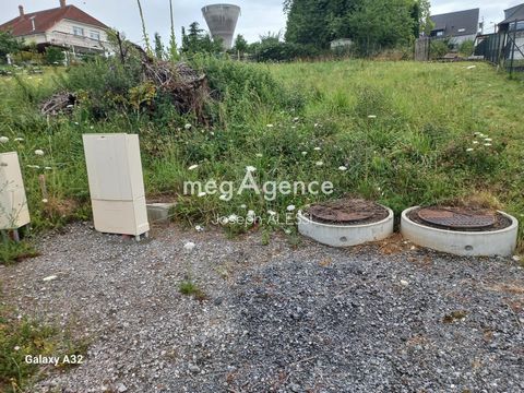 photo no. 5