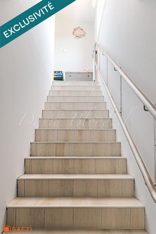 photo no. 13