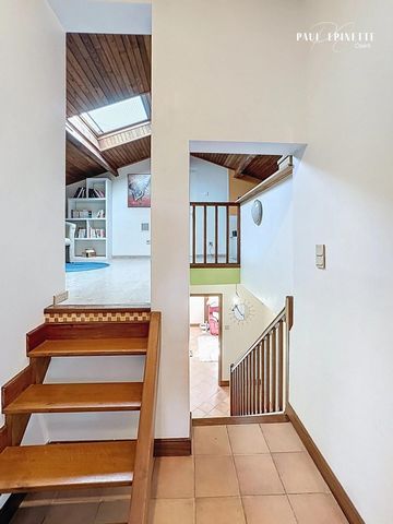 photo no. 10
