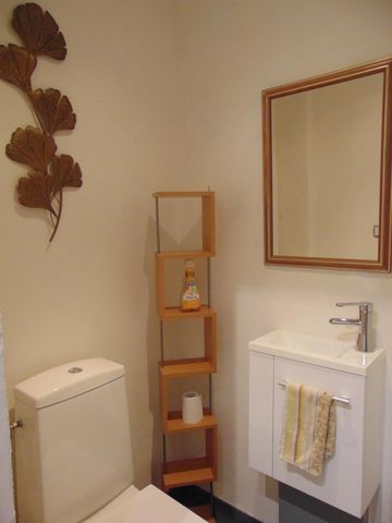 photo no. 8