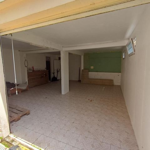 photo no. 11