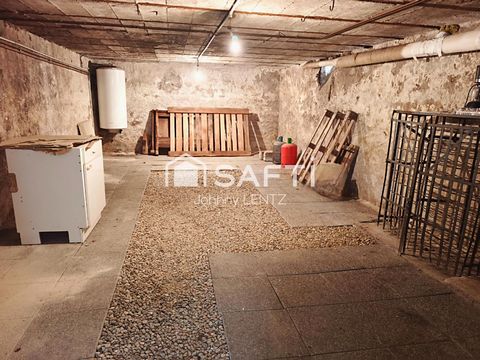 photo no. 11