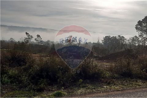 Description Rustic land with possibility of construction with area 2500m². Right land, next to the municipal road between Ataija and Casais Sta Teresa with water and electricity on the public road. Located next to IC2. You can build a pavilion up to ...