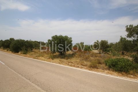 Trogir, Ciovo, Okrug Gornji, building plot. A building plot is for sale in the Rasova area. It is a very interesting location located in a quiet area, away from the hustle and bustle, and yet very close to the center of Trogir and Okrug Gornji and al...