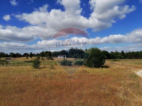 Description QUINTA - TAIPADAS - CANHA Quinta with 133.750m² rustic, irrigation area with well and remaining area with wethead and pine trees. In Taipadas next to IC13, with good access to the north and south. Don't miss this opportunity.
